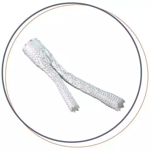 angiomedical gore EXCLUDER AAA ENDOPROSTHESIS