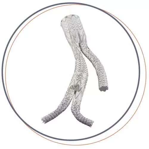 angiomedical gore EXCLUDER ILIAC BRANCH ENDOPROSTHESIS